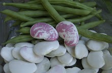 Limas and Green Beans