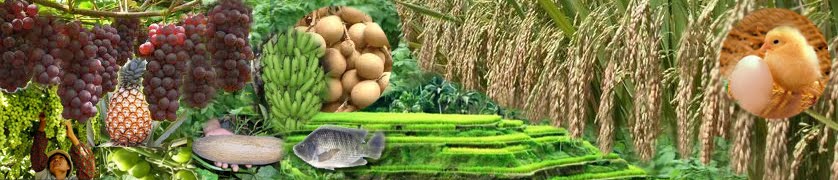 Bangkit Untuk Kemakmuran Negri