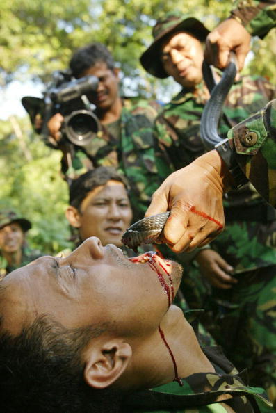 [Sangre+de+serpiente.jpg]