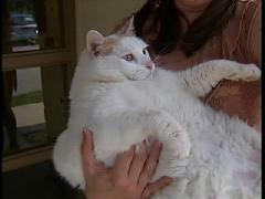 [Princess_Chunk2.jpg]