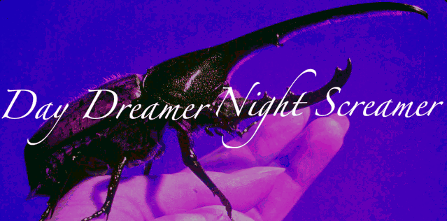 Day Dreamer Night Screamer