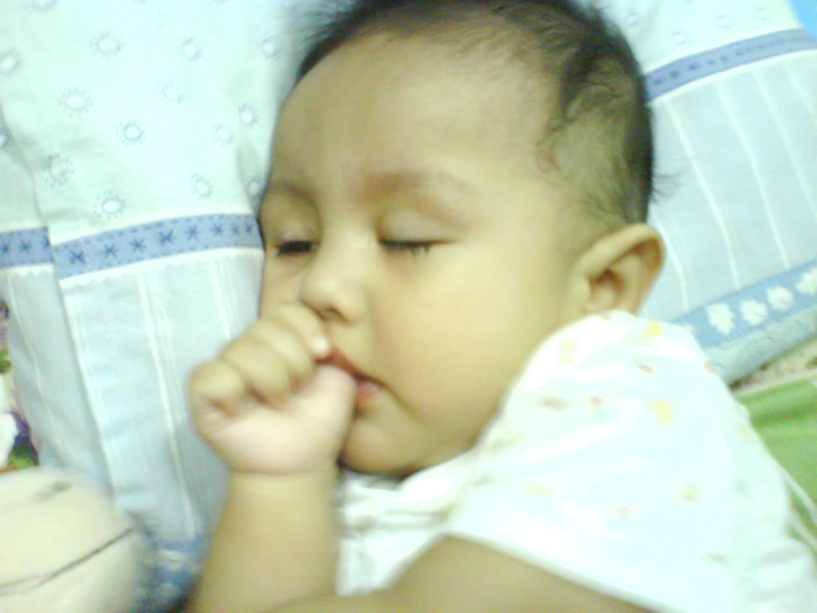 [DSC00734.JPG]