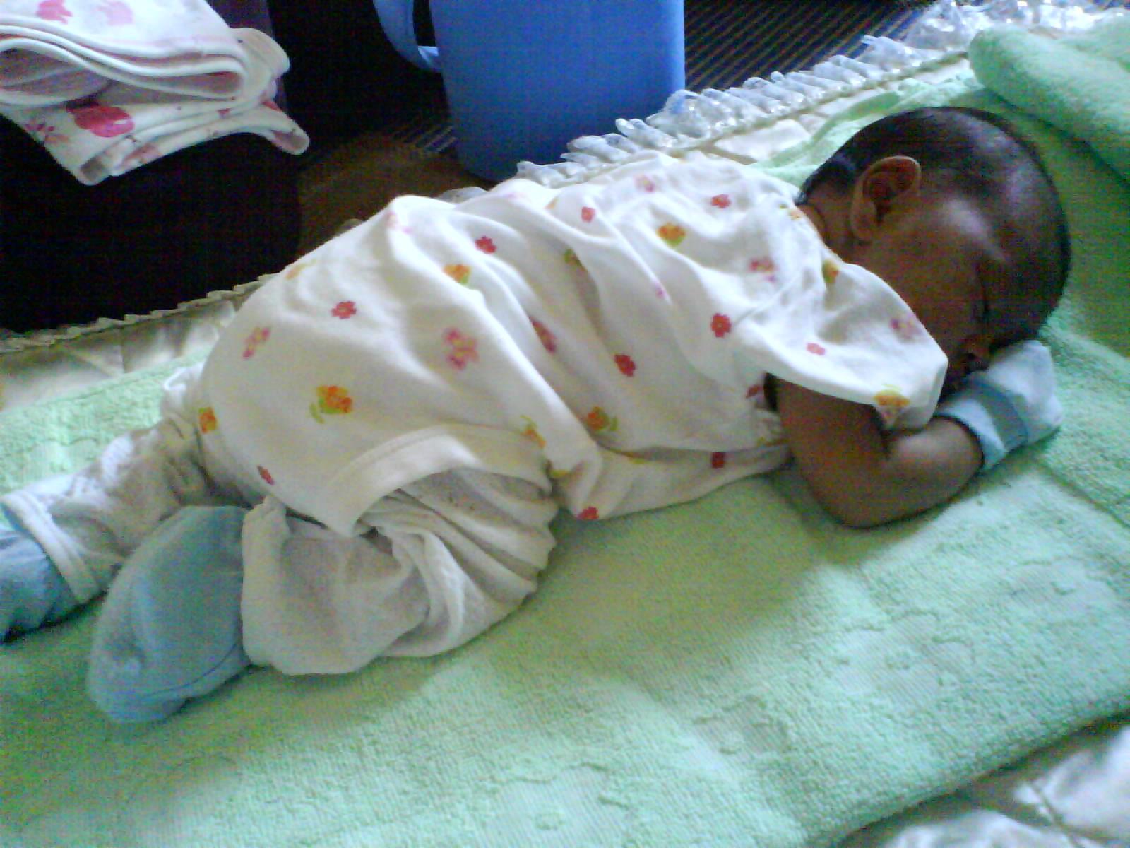 [DSC00724.JPG]