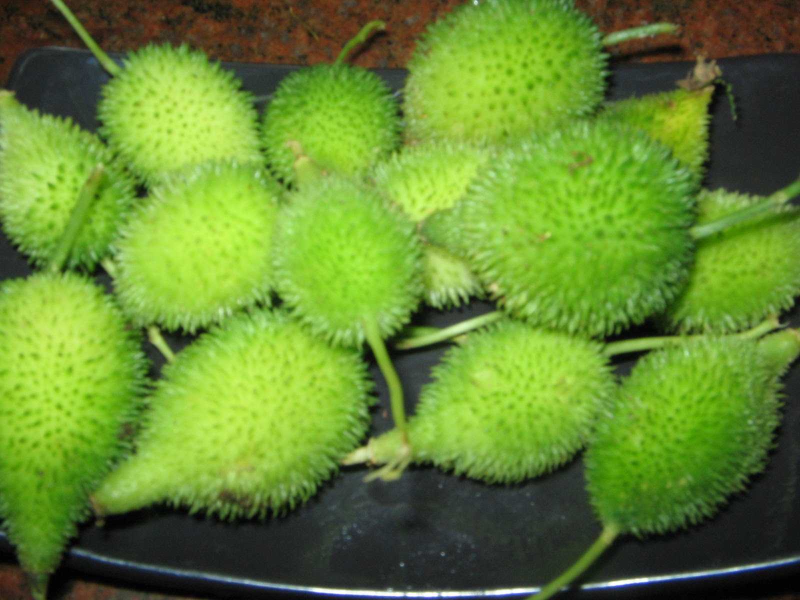 AAKAKARAKAYA PULUSU 