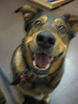 Roxy