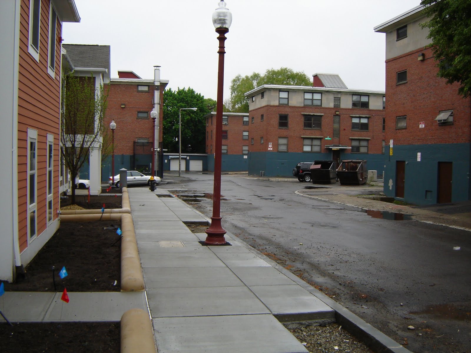 Restoring the Urban Fabric Blog Post No. 20109 Washington Beech is