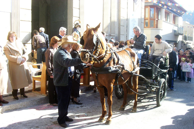 [Benediccio_1813.JPG]