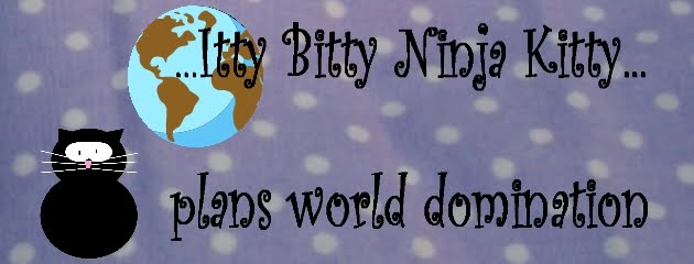 Itty Bitty Ninja Kitty