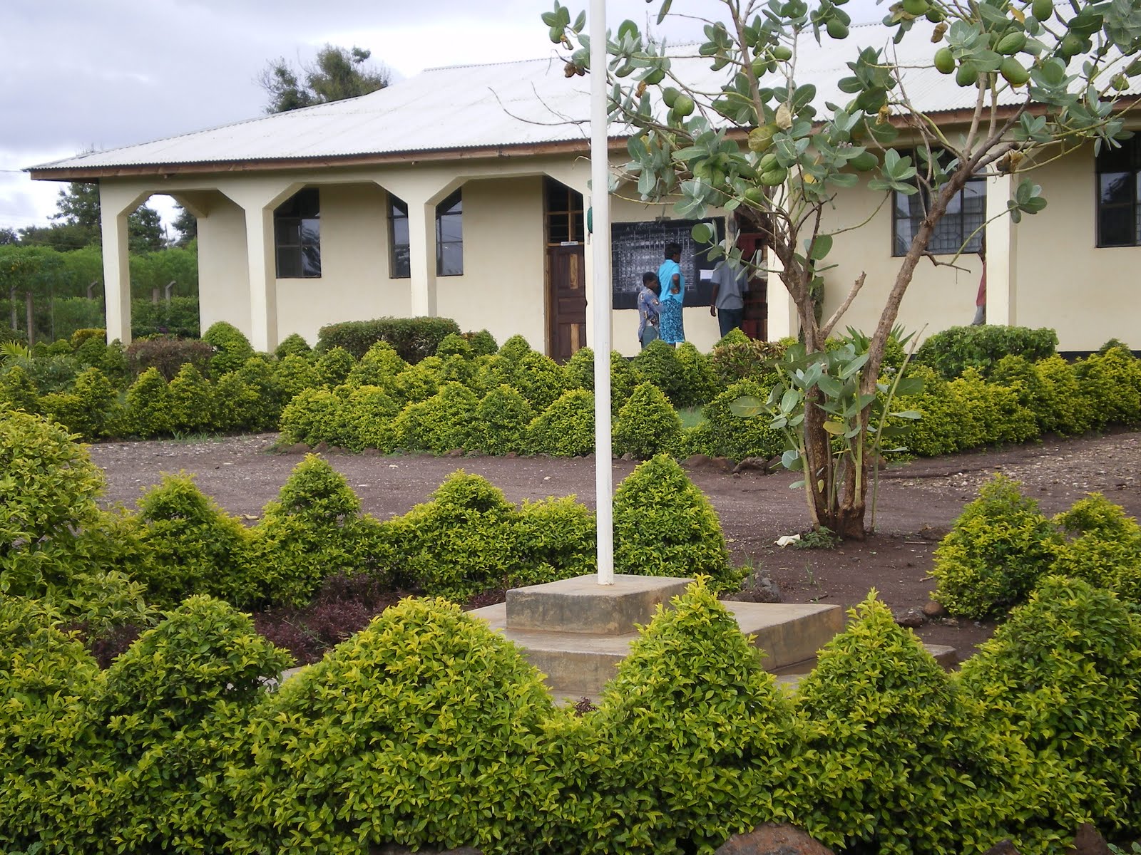 KALOLENI WARD - MOSHI