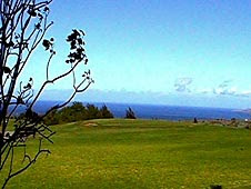 Waikoloa Golf Course Condo for Great Rate