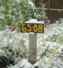 Our Family Fun Address