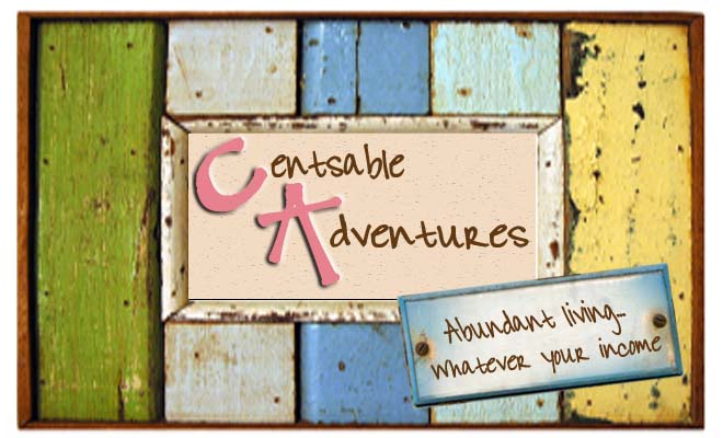 Centsable Adventures