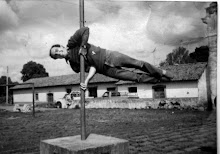 Joe on a pole