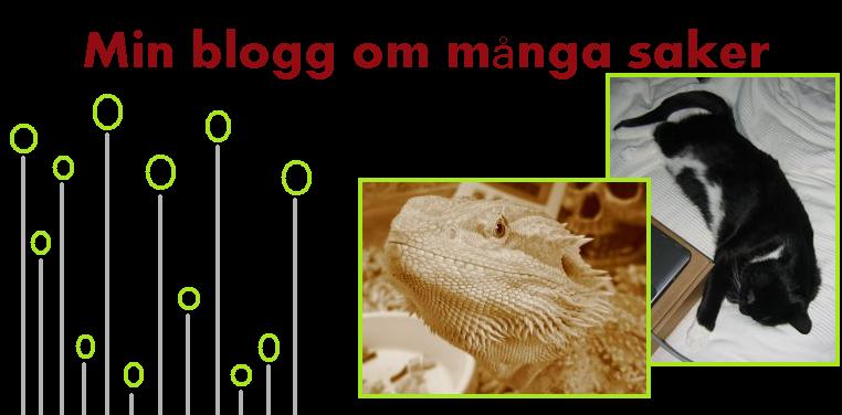 Min blogg om många saker
