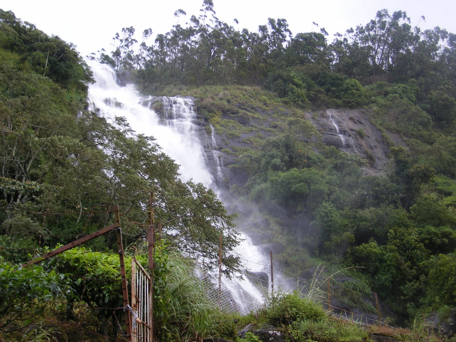 [Munnar-4.JPG]
