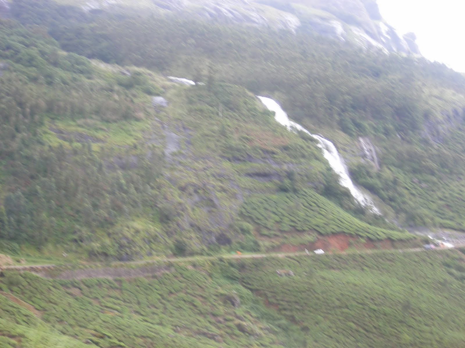 [Munnar-8.JPG]