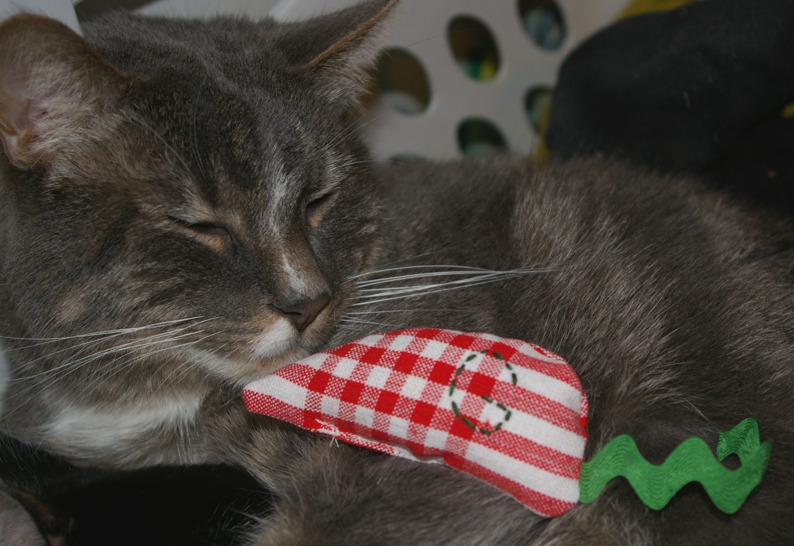 Eye Spy DIY! Christmas Cat Toy!