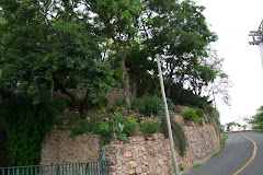 Colección Cerro San Bernardo de Paola Cuevas