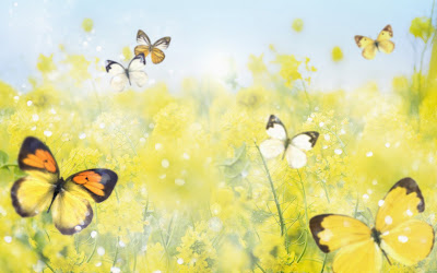 wallpaper world: Animated Butterfly Wallpaper