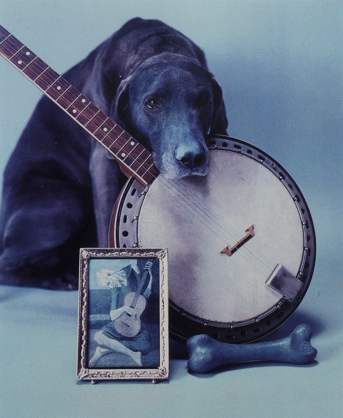 'Round The Block Balladeer Famous Banjo Companions