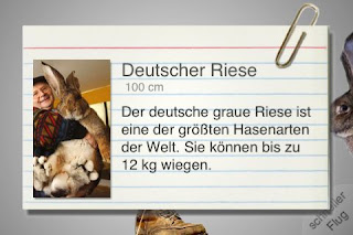 [Bild: Screenshot+4+DE.jpg]