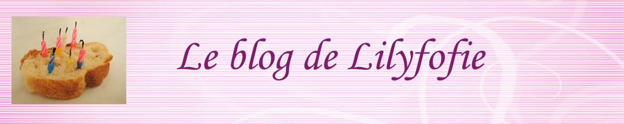 Le blog de Lilyfofie