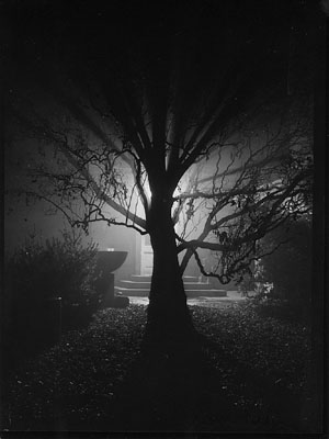 "MAGIC GARDEN", ΦΩΤΟΓΡΑΦΟΣ: JOSEF SUDEK, 1952