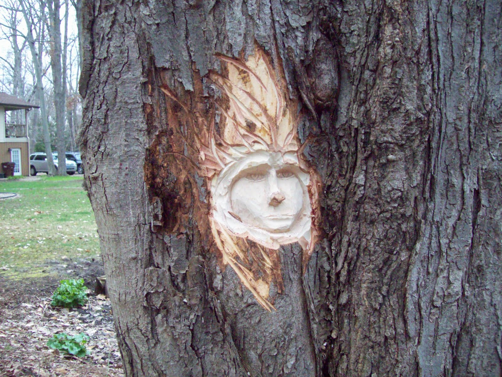 The Midnight Carver Some outdoor carving.