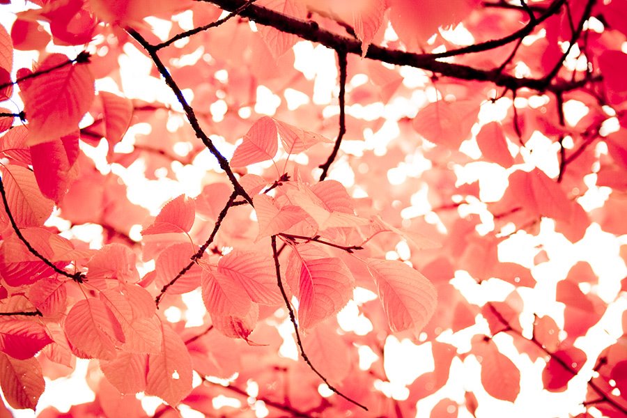 [The_Feeling_by_Anjaloo.jpg]