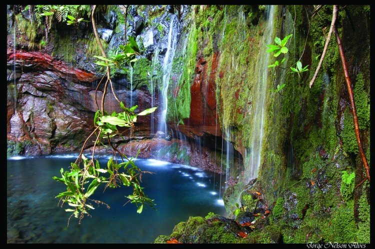 Naturopata: Você recebe este titulo, fazendo todos os curso que a clinic oferece