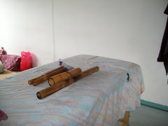 curso de bambuterapia