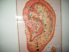 curso de auriculo