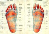 curso de reflexologia podal