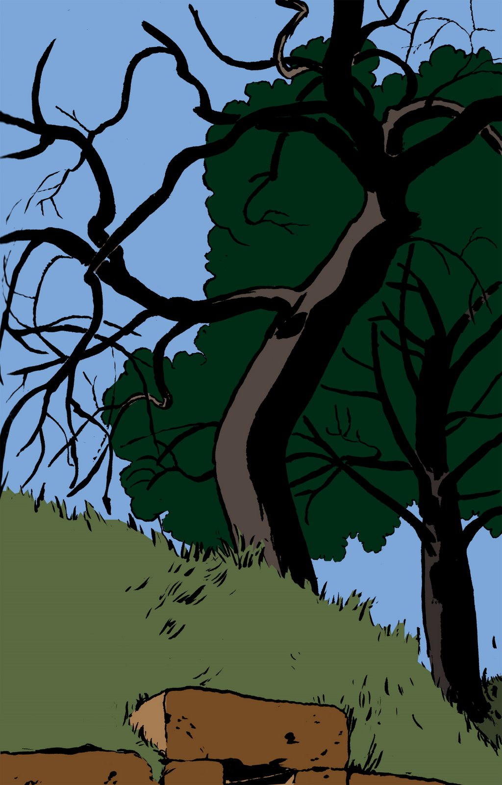 [albero+banditaccia+L.jpg]