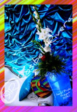 Social Pride Project 2010