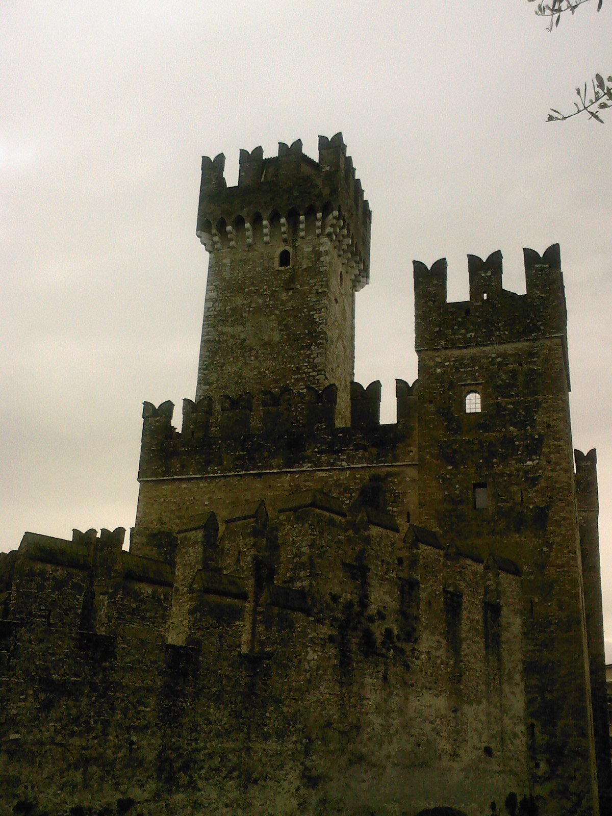 [SP_A0534.jpg]