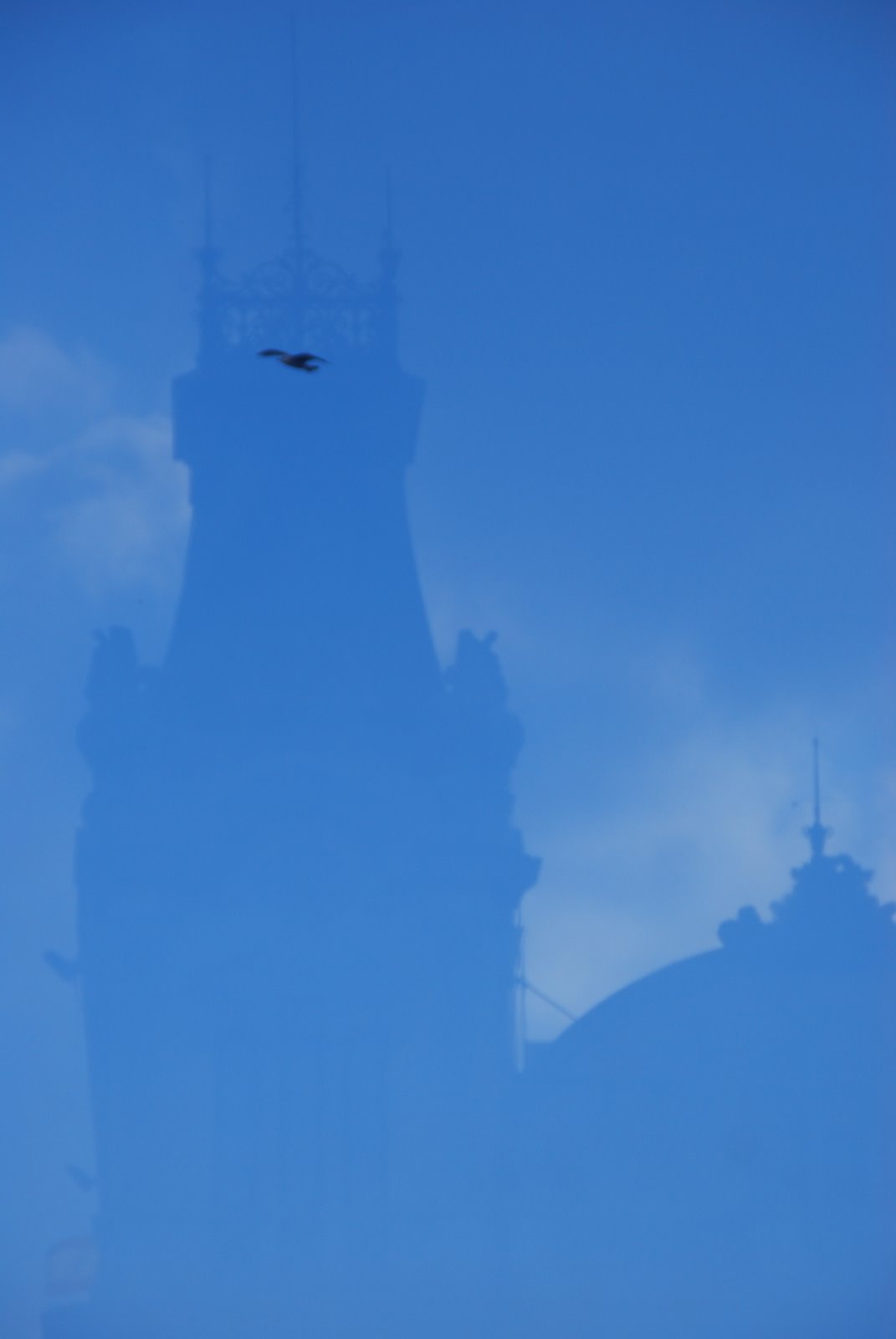 [DSC_0131.JPG]