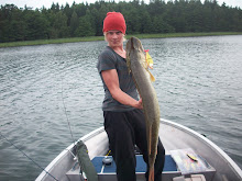 Underbar fisk! 8,16kg 113cm