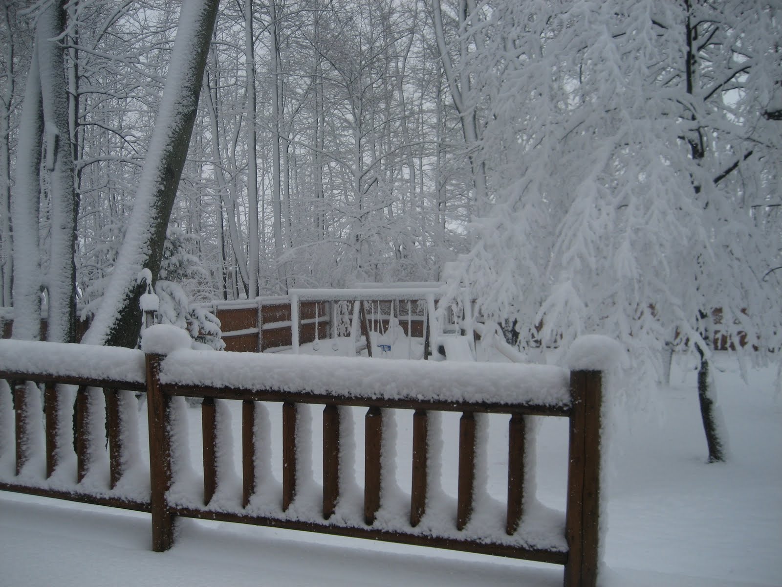 The Morris Family Snow, Snow, GO AWAY!