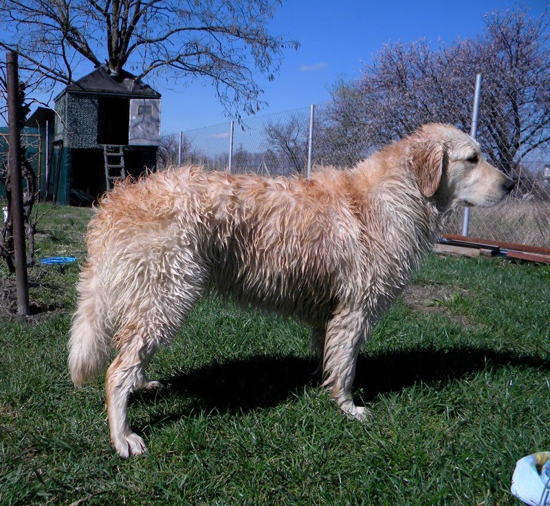 DSCN4656.JPG