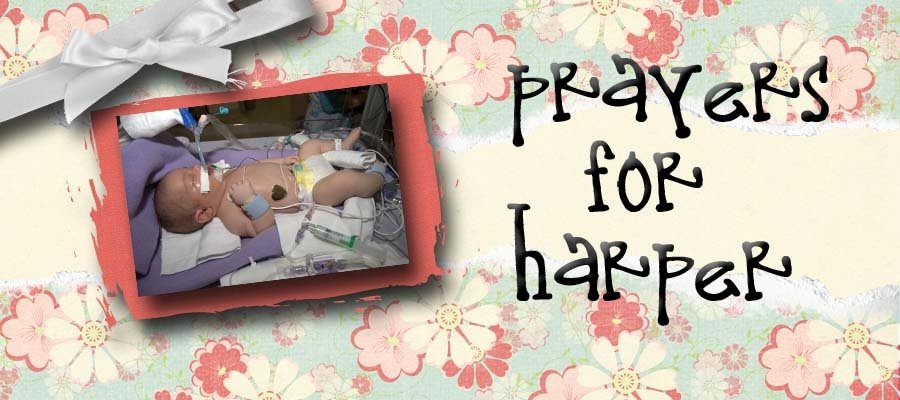 Pray for Harper