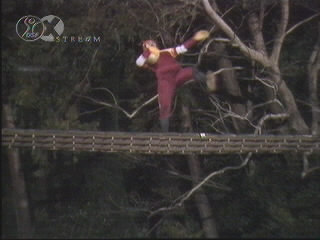 [takeshis.jpg]