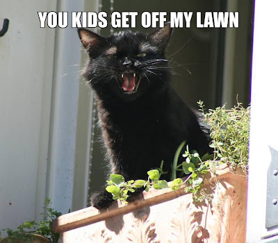 you-kids-get-off-my-lawn.jpg