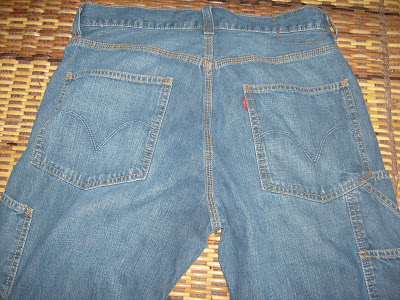 levis skateboarding carpenter