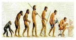 La evolución Humana