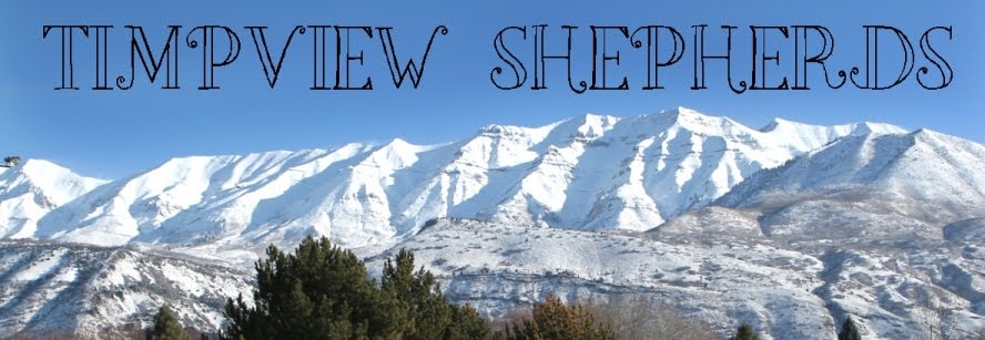 Timpview Shepherds