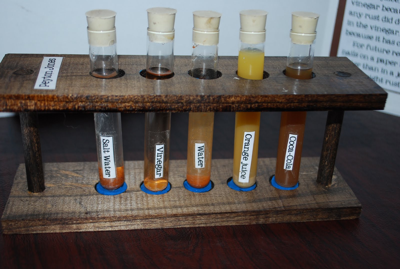 Rusty Nail Science Experiment - Nail Ftempo