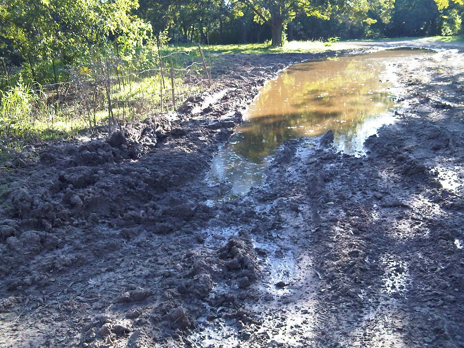 [BlancoMudPuddle.jpg]