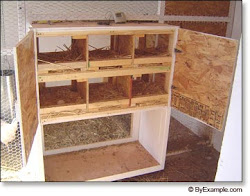 nesting chicken boxes nest box coop chickens plans build hen egg easy coops dimensions simple roll clean collecting byexample hens