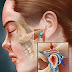 Teste: Você tem uma disfunção temporomandibular?